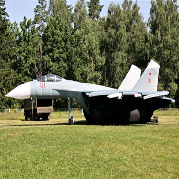 龙湖镇军事飞机用品气模制造