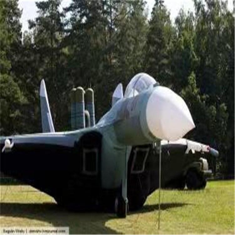 龙湖镇充气模型飞机制造商家